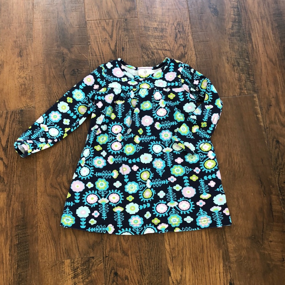 Hanna Andersson long sleeve dress